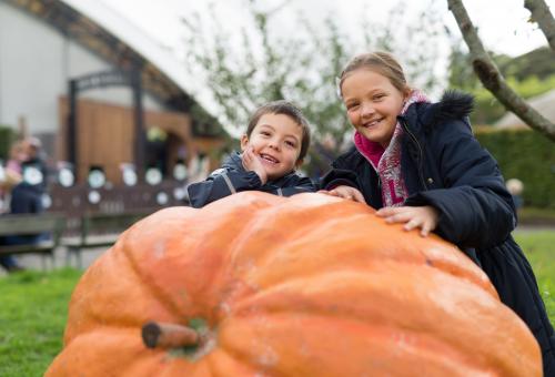 Children leaning on a giant pumpkin